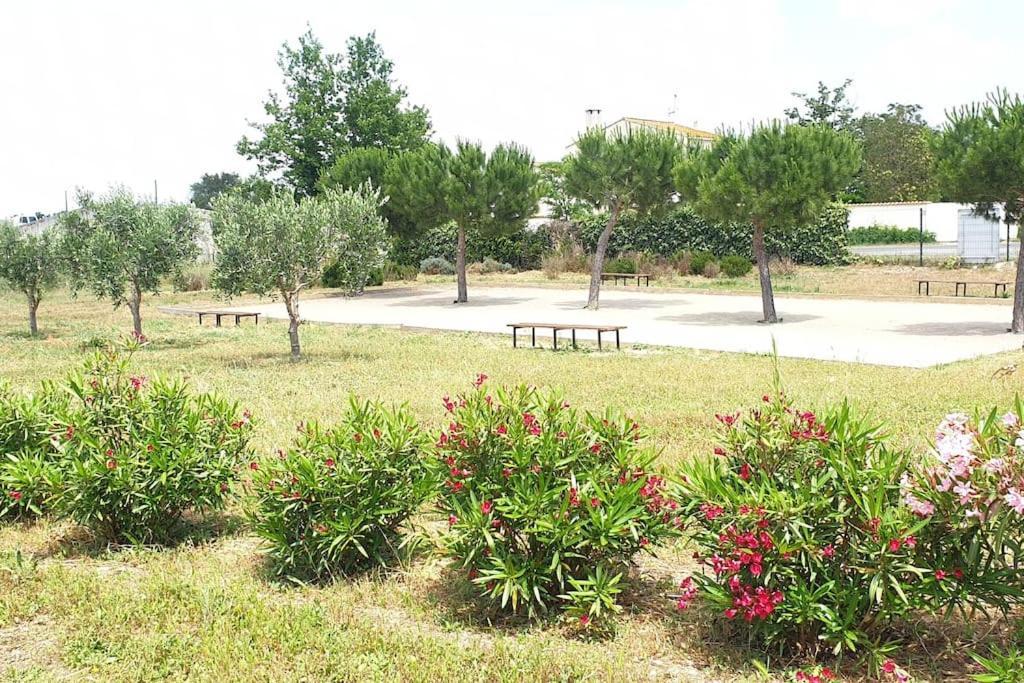 Un Bol D'Air Frais Et De Soleil Entre Campagne Et Plage Villa Beziers Exterior photo